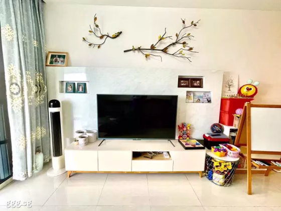 整套出租 • 林厝港 •  Lake Life • S$4700 • 住宅公寓 •  照片