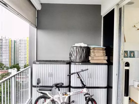 整套出租 • 林厝港 •  Lake Life • S$4700 • 住宅公寓 •  照片