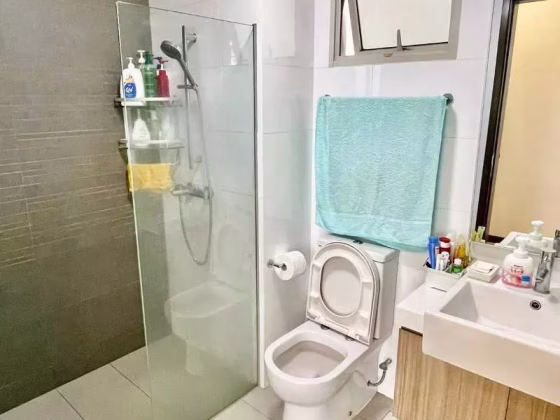 整套出租 • 林厝港 •  Lake Life • S$4700 • 住宅公寓 •  照片