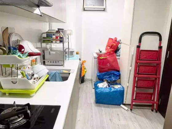 整套出租 • 林厝港 •  Lake Life • S$4700 • 住宅公寓 •  照片