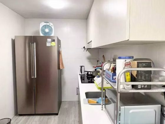 整套出租 • 林厝港 •  Lake Life • S$4700 • 住宅公寓 •  照片