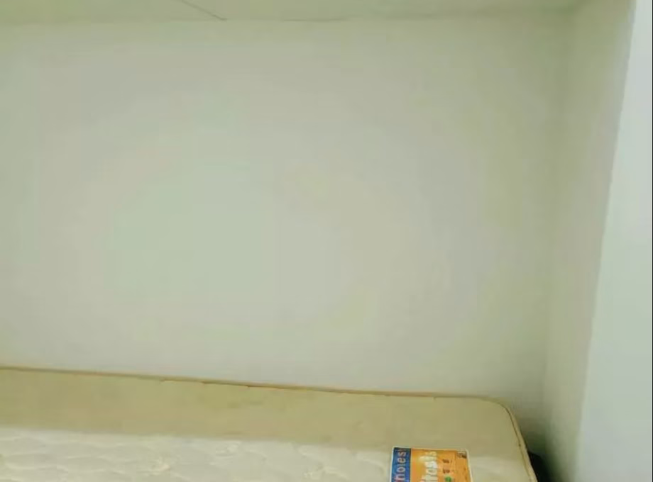 单间出租 • 红山 •  Springdale Condo • S$800 • 共管公寓 • 佣人房 照片