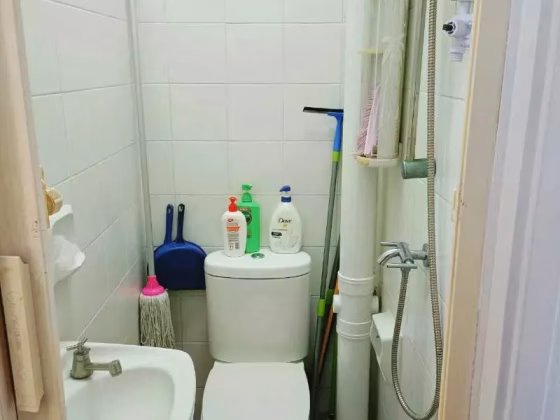 单间出租 • 红山 •  Springdale Condo • S$800 • 共管公寓 • 佣人房 照片