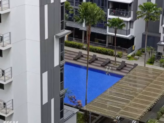 单间出租 • 碧山 •  La Fiesta • S$1250 • 共管公寓 • 普通房 照片