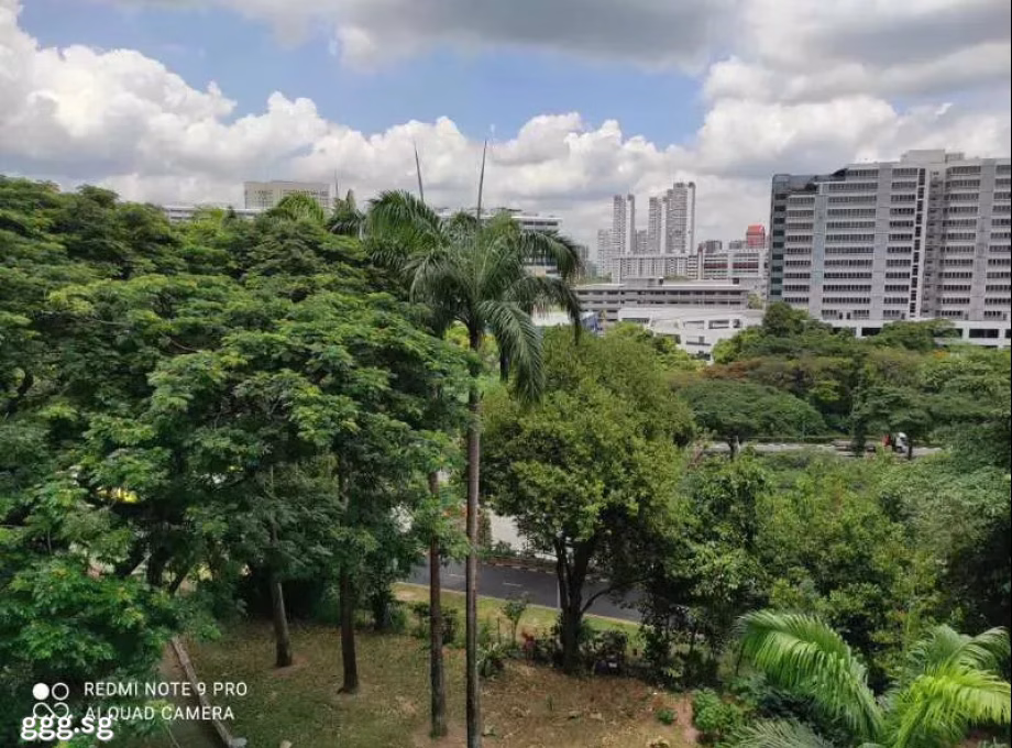 单间出租 • 金文泰 • 18 Telok Blangah Crescent • S$900 • 3房(2臥室) • 普通房 照片