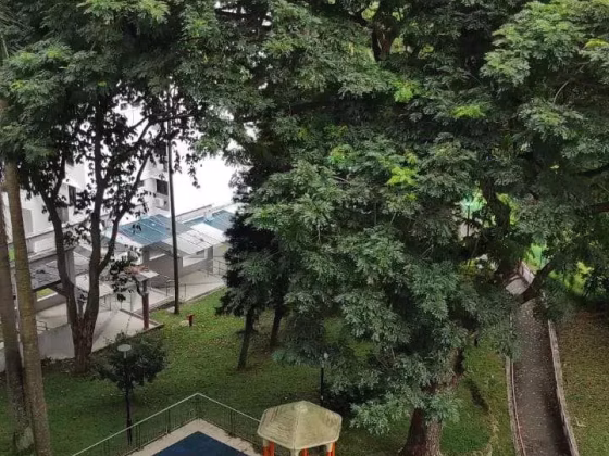 单间出租 • 金文泰 • 18 Telok Blangah Crescent • S$900 • 3房(2臥室) • 普通房 照片