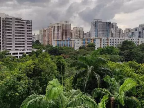 单间出租 • 金文泰 • 18 Telok Blangah Crescent • S$900 • 3房(2臥室) • 普通房 照片