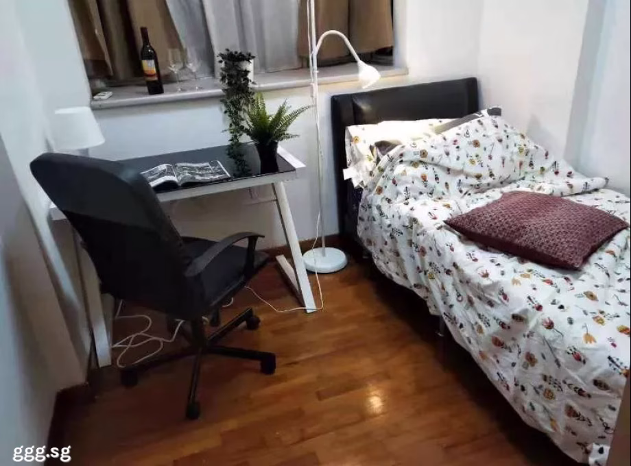 单间出租 • 纽顿 •  Parc Haven • S$950 • 住宅公寓 • 普通房 照片