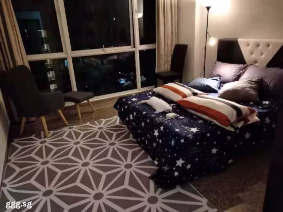 单间出租 • 纽顿 •  Parc Haven • S$950 • 住宅公寓 • 普通房 照片