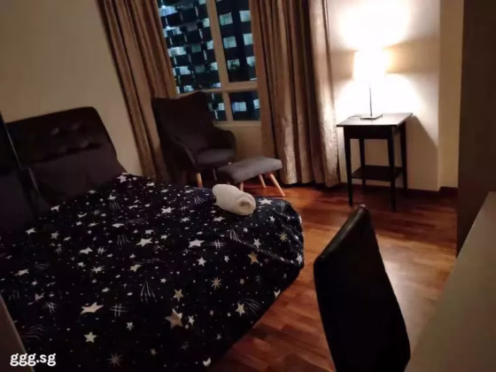 单间出租 • 纽顿 •  Parc Haven • S$950 • 住宅公寓 • 普通房 照片