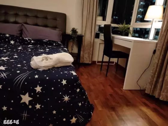 单间出租 • 纽顿 •  Parc Haven • S$950 • 住宅公寓 • 普通房 照片