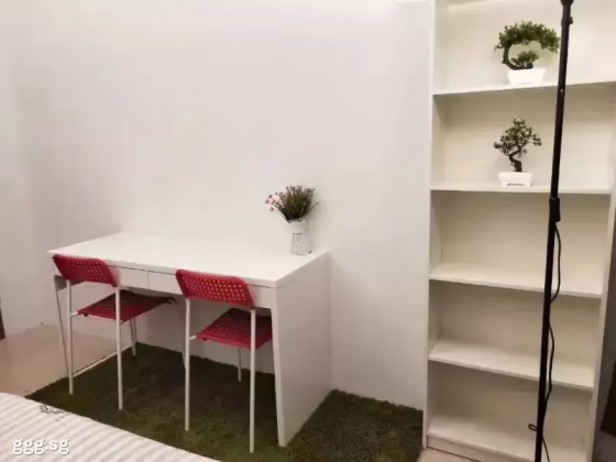 单间出租 • 欧南 •  Torieview Mansions • S$1200 • 住宅公寓 • 普通房 照片