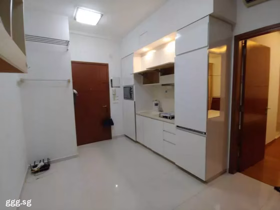 整套出租 • 欧南 •  Treasures @ G19 • S$3000 • 住宅公寓 • 388ft² / 36m² 照片