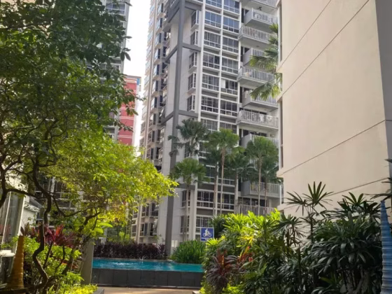 整套出租 • 宏茂桥 •  Oasis @ Elias • S$3800 • 共管公寓 • 980ft² / 91m² 照片