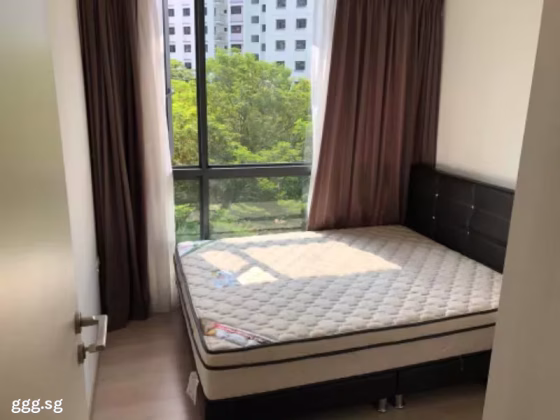 单间出租 • 碧山 •  Esparina Residences • S$55 • 住宅公寓 • 短租房 照片