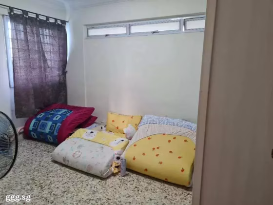 单间出租 • 乌节 • 333 Ang Mo Kio Avenue 1 • S$500 • 3房(2臥室) • 床位出租 照片