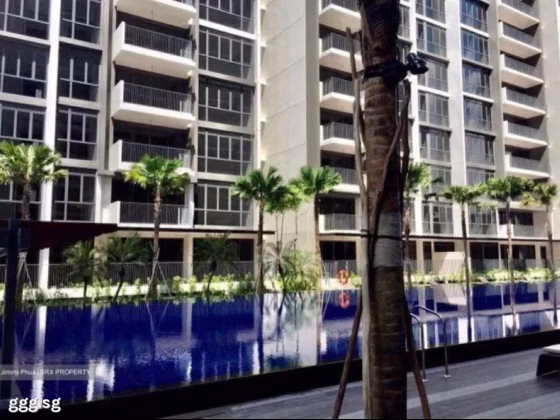 整套出租 • 碧山 •  La Fiesta • S$3700 • 共管公寓 • 732ft² / 68m² 照片
