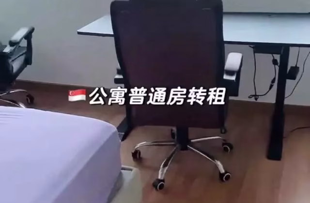 单间出租 • 马林百列 •  Braddell View • S$1150 • 住宅公寓 • 普通房
