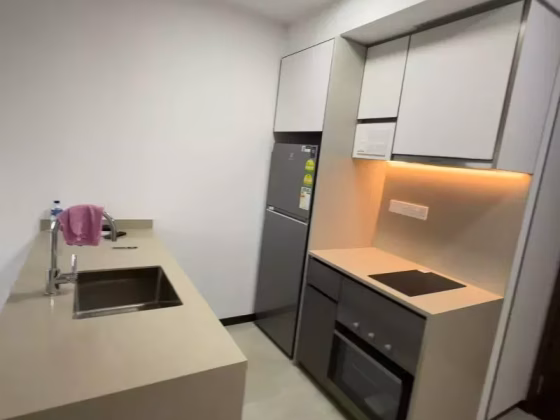 单间出租 • 蔡厝港 •  Normanton Park • S$2550 • 住宅公寓 • 主人房 照片