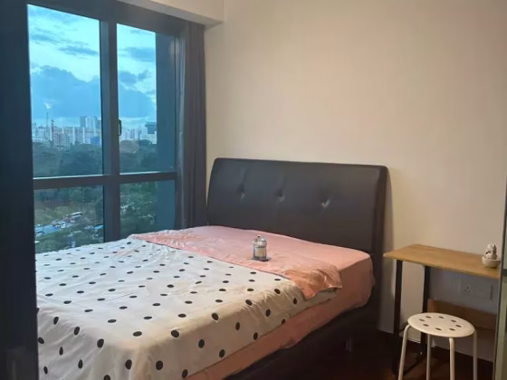单间出租 • 蔡厝港 •  Normanton Park • S$2550 • 住宅公寓 • 主人房 照片