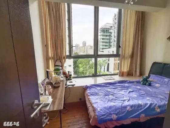 单间出租 • 纽顿 •  City Edge • S$1600 • 住宅公寓 • 普通房 照片