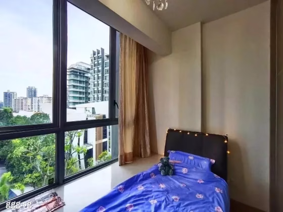 单间出租 • 纽顿 •  City Edge • S$1600 • 住宅公寓 • 普通房 照片