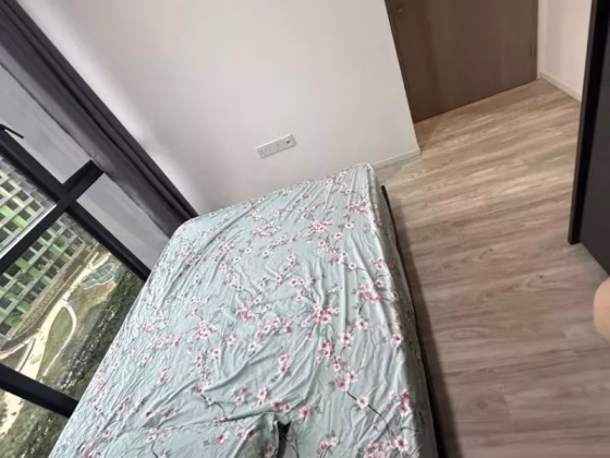 单间出租 • 马林百列 •  The Woodleigh Residences • S$2600 • 住宅公寓 • 主人房 照片
