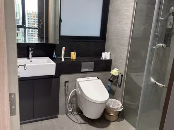 单间出租 • 马林百列 •  The Woodleigh Residences • S$2600 • 住宅公寓 • 主人房 照片