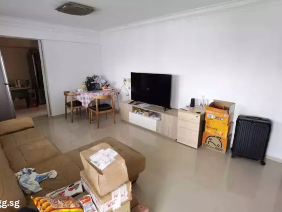 单间出租 • 市中心 • 167 Bishan Street 13 • S$750 • 4房(3臥室) • 床位出租 照片