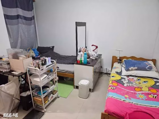 单间出租 • 市中心 • 167 Bishan Street 13 • S$750 • 4房(3臥室) • 床位出租 照片