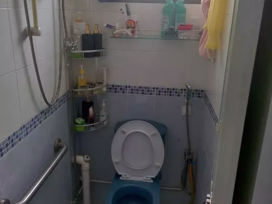 房屋出售 • 马林百列 • 231 Lorong 8 Toa Payoh • S$370000 • 3房(2臥室) • 700ft² / 65m² 照片
