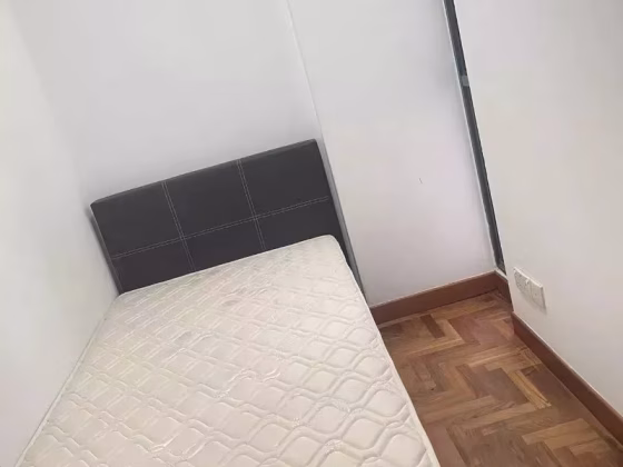 单间出租 • 新加坡河 •  Regentville • S$500 • 住宅公寓 • 普通房 照片