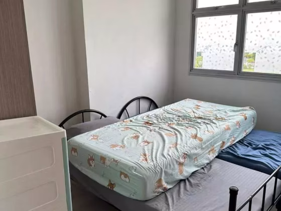 整套出租 • 梧槽 • 672A Yishun Avenue 4 • S$3000 • 3房(2臥室) • 721ft² / 66m² 照片