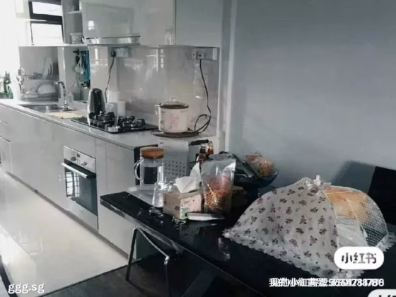单间出租 • 马林百列 • 195 Kim Keat Avenue • S$1000 • 3房(2臥室) • 普通房 照片