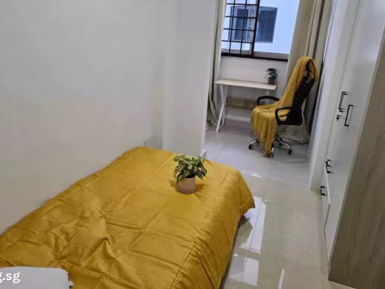 单间出租 • 登加 •  Kim Sia Court • S$1400 • 住宅公寓 • 普通房 照片