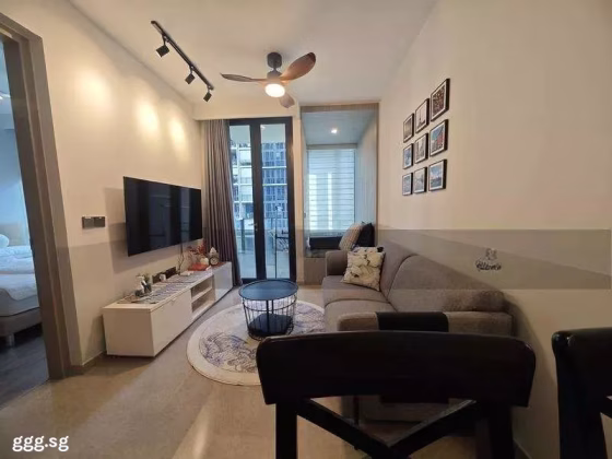 整套出租 • 西部集水区 •  The Tapestry • S$2760 • 共管公寓 • 474ft² / 44m² 照片