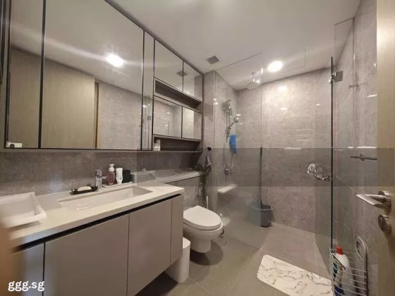 整套出租 • 西部集水区 •  The Tapestry • S$2760 • 共管公寓 • 474ft² / 44m² 照片