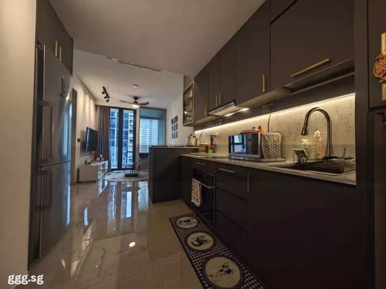 整套出租 • 西部集水区 •  The Tapestry • S$2760 • 共管公寓 • 474ft² / 44m² 照片