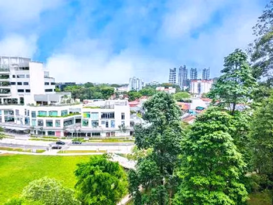 整套出租 • 蔡厝港 • 13 Holland Drive • S$4600 • 4房(3臥室) • 947ft² / 87m² 照片