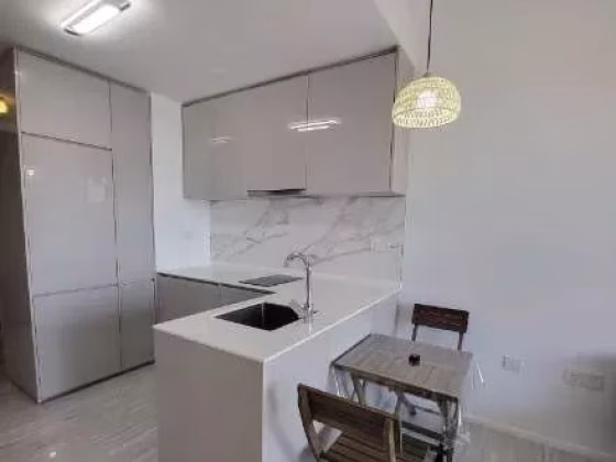 整套出租 • 欧南 •  Eunosville • S$2800 • 共管公寓 • 420ft² / 39m² 照片