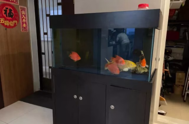 单间出租 • 樟宜 • 406A Northshore Drive • S$750 • 3房(2臥室) • 佣人房
