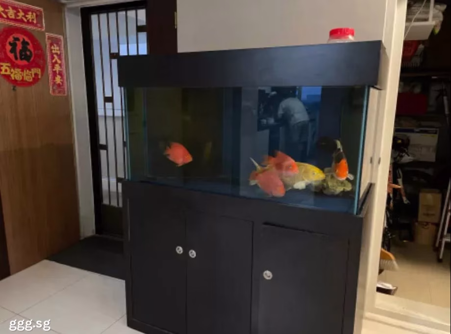单间出租 • 樟宜 • 406A Northshore Drive • S$750 • 3房(2臥室) • 佣人房 照片