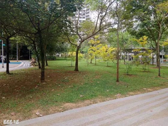 单间出租 • 碧山 • 471B Fernvale Street • S$800 • 4房(3臥室) • 普通房 照片