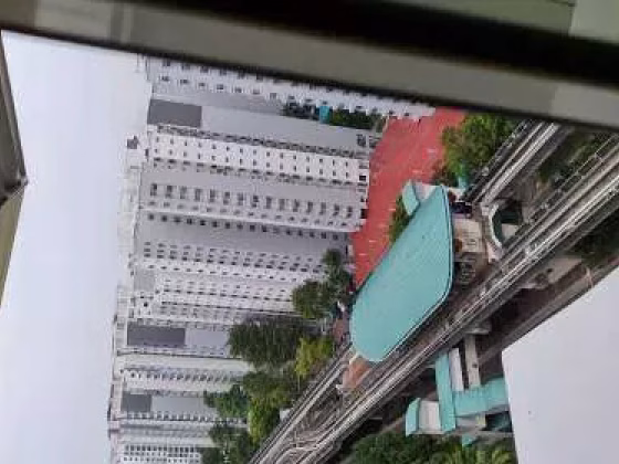 单间出租 • 樟宜 • 175B Punggol Field • S$800 • 3房(2臥室) • 普通房 照片