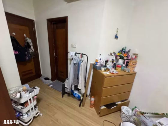 单间出租 • 南部群岛 •  Sunshine Plaza • S$2500 • 住宅公寓 • 主人房 照片