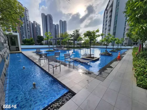 单间出租 • 武吉班让 •  Newest • S$1650 • 住宅公寓 • 普通房 照片