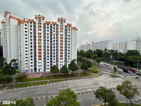 房屋出售 • 林厝港 • 694 Jurong West Central 1 • S$599000 • 3房(2臥室) • 1097ft² / 101m² 照片