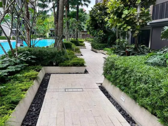 整套出租 • 武吉巴督 •  Le Quest • S$2900 • 执行公寓 • 495ft² / 45m² 照片