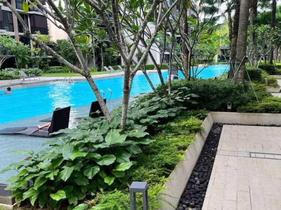 整套出租 • 武吉巴督 •  Le Quest • S$2900 • 执行公寓 • 495ft² / 45m² 照片