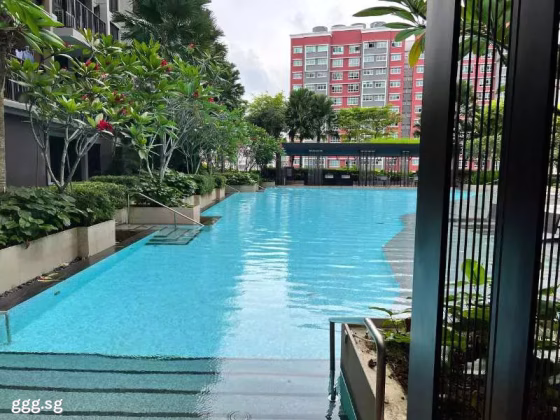 整套出租 • 武吉巴督 •  Le Quest • S$2900 • 执行公寓 • 495ft² / 45m² 照片